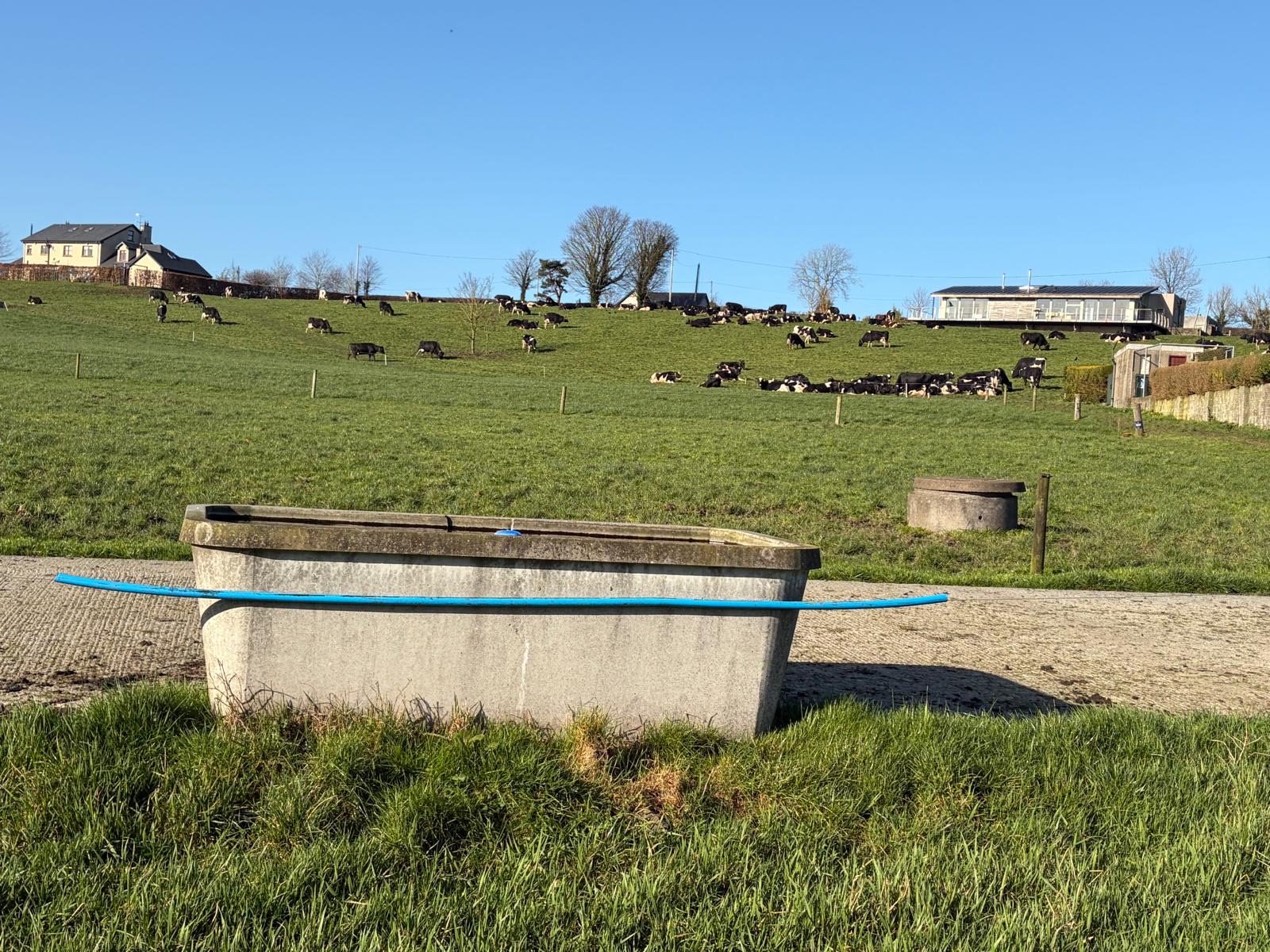 Concrete water trough on pasture with cows grazing on the hill beyond
