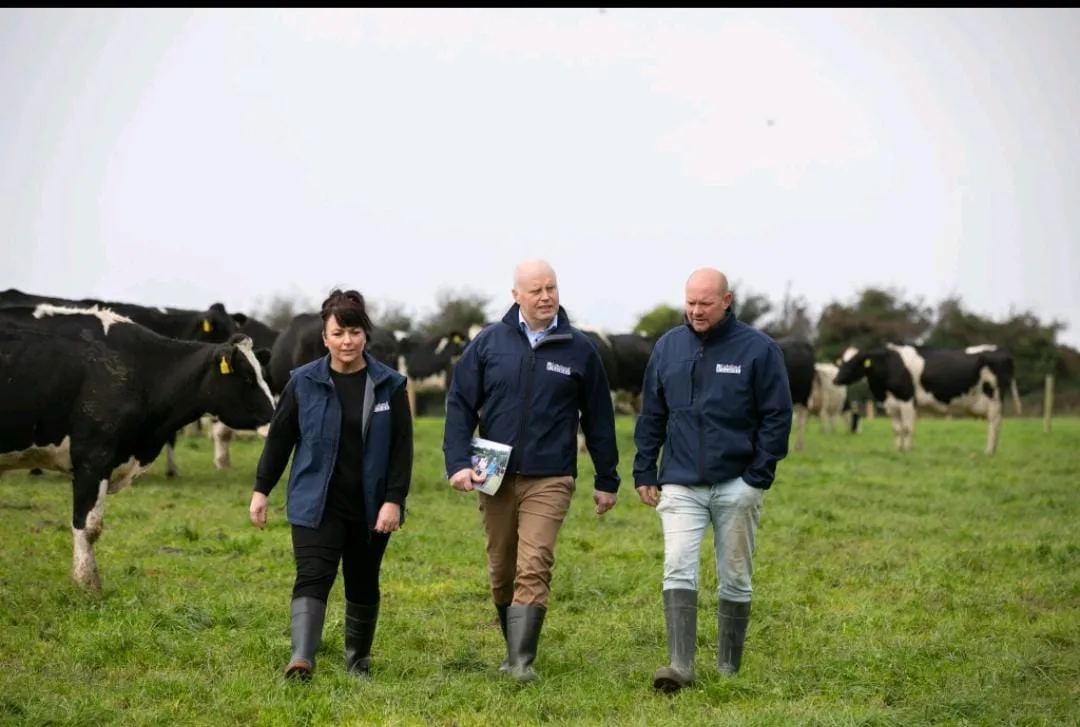 Niall Matthews walking through the pasture with colleagues among the dairy herd at Tully