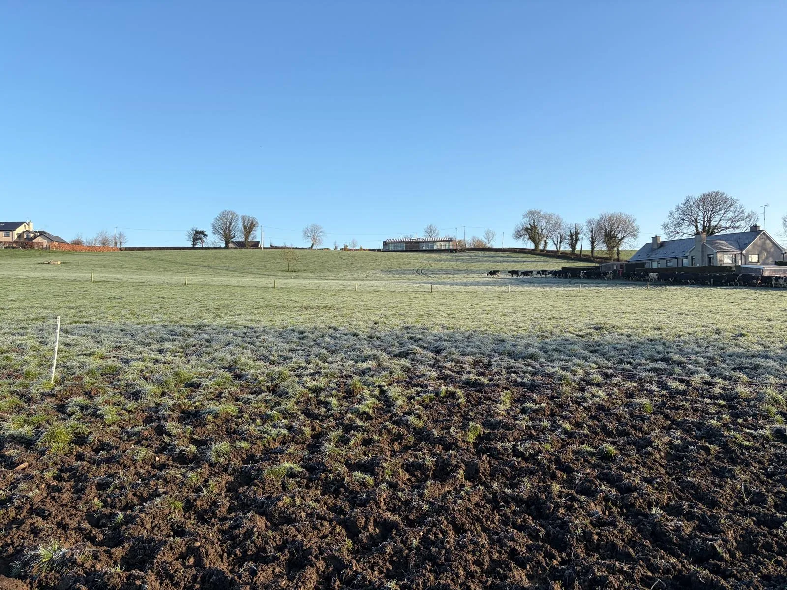 Frost on the fields at Tully on a clear winter morning, farm buildings in the distance